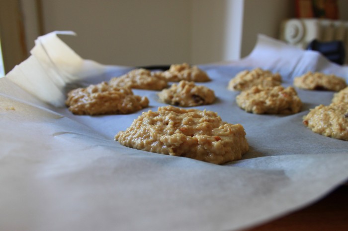 BISCOTTI MELE E CANNELLA VEGAN 