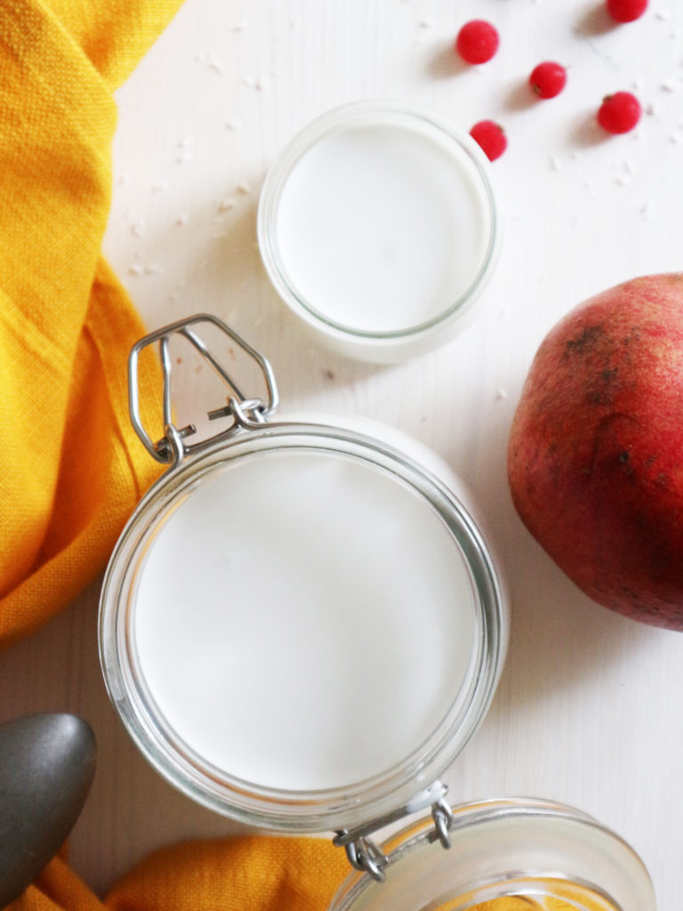 yogurt di cocco fatto in casa 